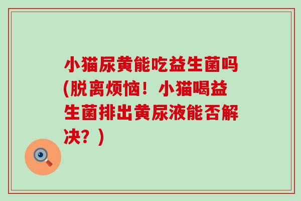 小猫尿黄能吃益生菌吗(脱离烦恼！小猫喝益生菌排出黄尿液能否解决？)