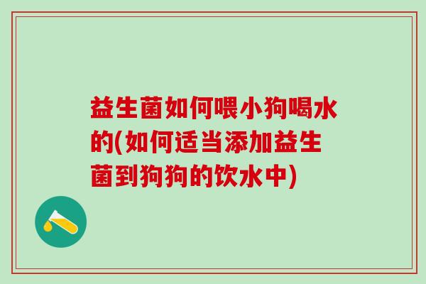益生菌如何喂小狗喝水的(如何适当添加益生菌到狗狗的饮水中)