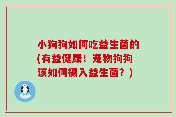 小狗狗如何吃益生菌的(有益健康!宠物狗狗该如何摄入益生菌?) 小狗狗如何吃益生菌的(有益健康!宠物狗狗该如何摄入益生菌?)