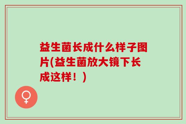 益生菌长成什么样子图片(益生菌放大镜下长成这样！)