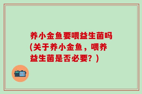 养小金鱼要喂益生菌吗(关于养小金鱼，喂养益生菌是否必要？)