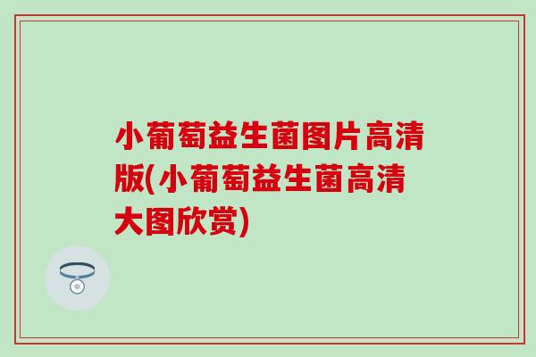 小葡萄益生菌图片高清版(小葡萄益生菌高清大图欣赏)