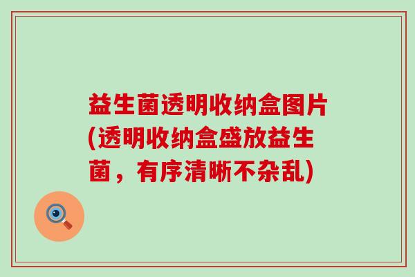 益生菌透明收纳盒图片(透明收纳盒盛放益生菌,有序清晰不杂乱) 益生菌透明收纳盒图片(透明收纳盒盛放益生菌,有序清晰不杂乱)