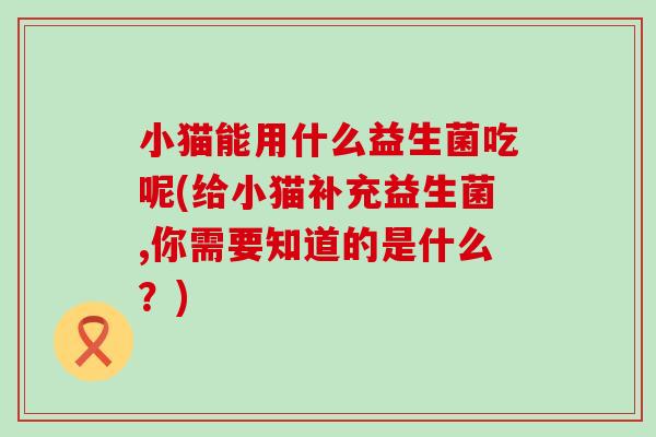 小猫能用什么益生菌吃呢(给小猫补充益生菌,你需要知道的是什么？)