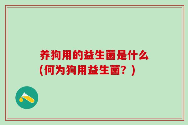 养狗用的益生菌是什么(何为狗用益生菌？)