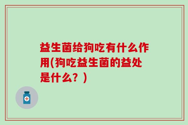 益生菌给狗吃有什么作用(狗吃益生菌的益处是什么？)