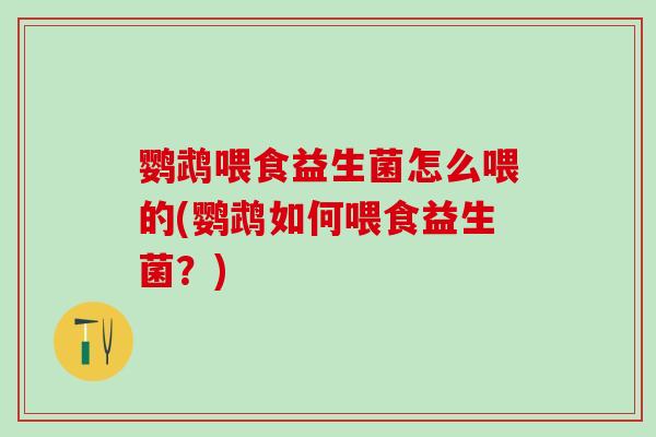 鹦鹉喂食益生菌怎么喂的(鹦鹉如何喂食益生菌?) 鹦鹉喂食益生菌怎么喂的(鹦鹉如何喂食益生菌?)