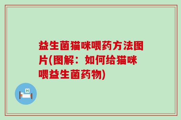 益生菌猫咪喂药方法图片(图解：如何给猫咪喂益生菌药物)