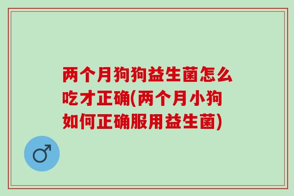 两个月狗狗益生菌怎么吃才正确(两个月小狗如何正确服用益生菌)