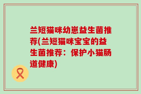 兰短猫咪幼崽益生菌推荐(兰短猫咪宝宝的益生菌推荐：保护小猫肠道健康)