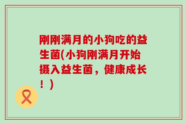 刚刚满月的小狗吃的益生菌(小狗刚满月开始摄入益生菌，健康成长！)
