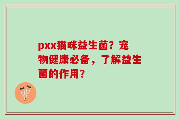 pxx猫咪益生菌？宠物健康必备，了解益生菌的作用？