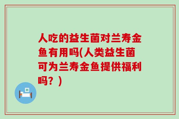 人吃的益生菌对兰寿金鱼有用吗(人类益生菌可为兰寿金鱼提供福利吗?) 人吃的益生菌对兰寿金鱼有用吗(人类益生菌可为兰寿金鱼提供福利吗?)
