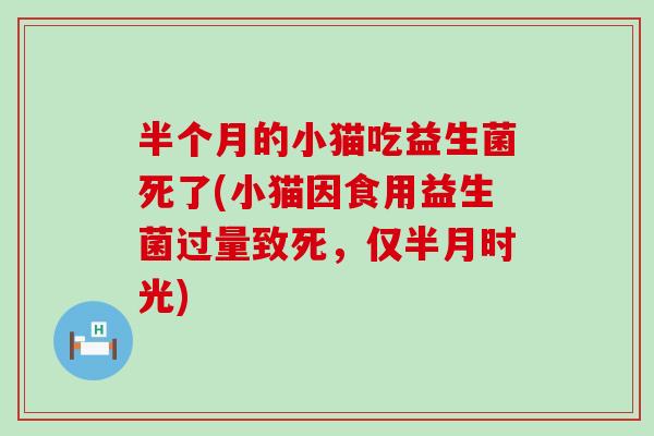 半个月的小猫吃益生菌死了(小猫因食用益生菌过量致死，仅半月时光)