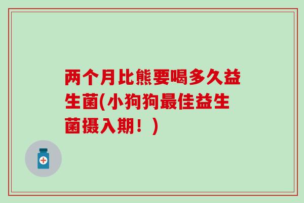 两个月比熊要喝多久益生菌(小狗狗最佳益生菌摄入期！)