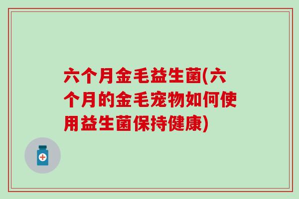 六个月金毛益生菌(六个月的金毛宠物如何使用益生菌保持健康)