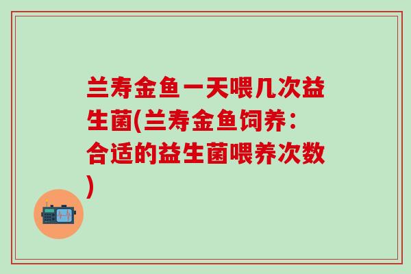 兰寿金鱼一天喂几次益生菌(兰寿金鱼饲养:合适的益生菌喂养次数) 兰寿金鱼一天喂几次益生菌(兰寿金鱼饲养:合适的益生菌喂养次数)