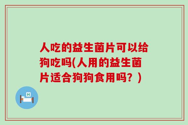 人吃的益生菌片可以给狗吃吗(人用的益生菌片适合狗狗食用吗？)