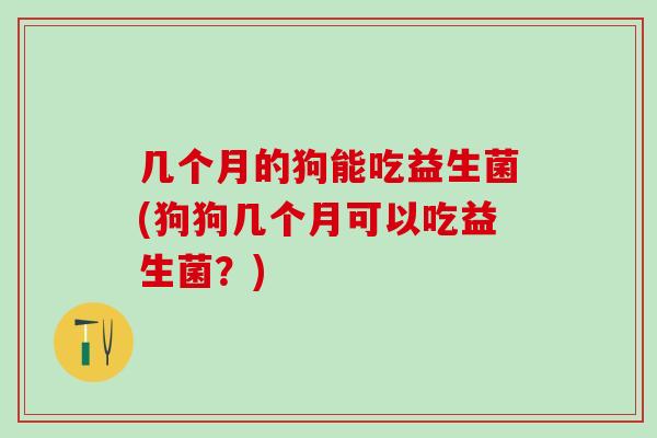 几个月的狗能吃益生菌(狗狗几个月可以吃益生菌？)