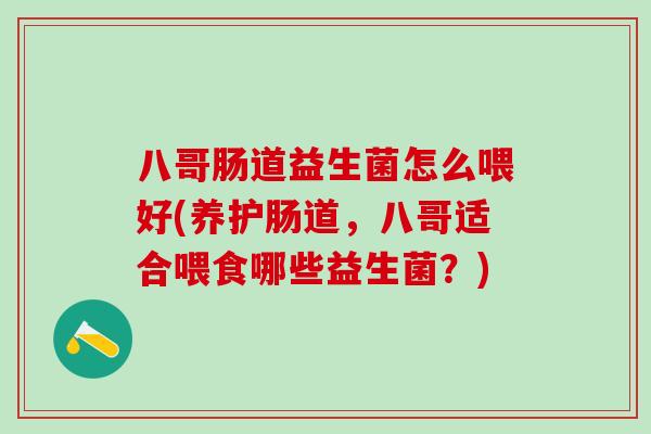 八哥肠道益生菌怎么喂好(养护肠道，八哥适合喂食哪些益生菌？)