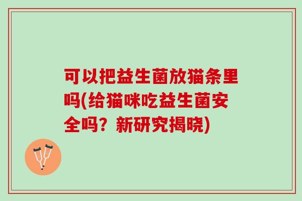 可以把益生菌放猫条里吗(给猫咪吃益生菌安全吗？新研究揭晓)