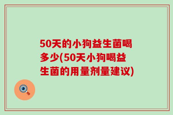 50天的小狗益生菌喝多少(50天小狗喝益生菌的用量剂量建议)