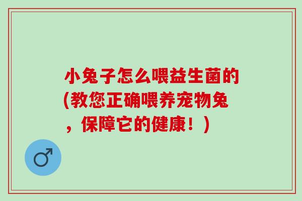 小兔子怎么喂益生菌的(教您正确喂养宠物兔，保障它的健康！)