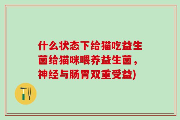 什么状态下给猫吃益生菌给猫咪喂养益生菌，神经与肠胃双重受益)