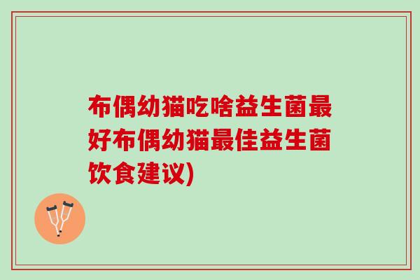 布偶幼猫吃啥益生菌最好布偶幼猫最佳益生菌饮食建议)