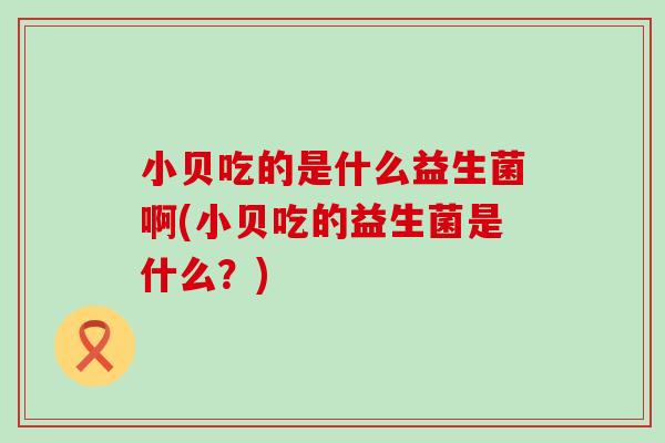 小贝吃的是什么益生菌啊(小贝吃的益生菌是什么？)