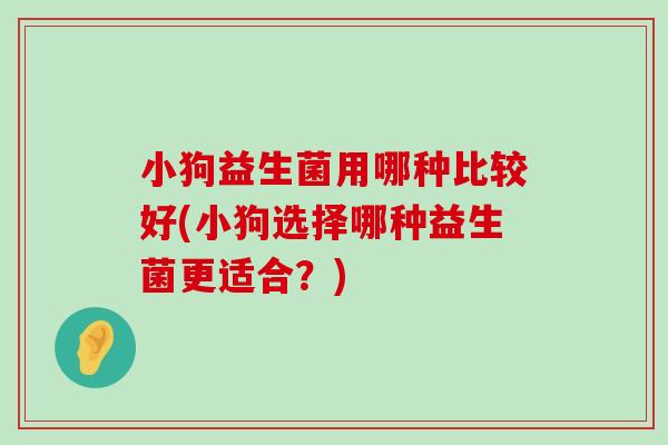 小狗益生菌用哪种比较好(小狗选择哪种益生菌更适合？)