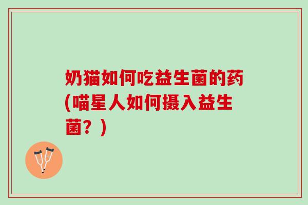 奶猫如何吃益生菌的药(喵星人如何摄入益生菌？)