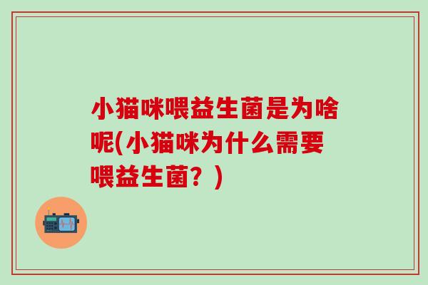 小猫咪喂益生菌是为啥呢(小猫咪为什么需要喂益生菌？)