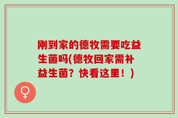 刚到家的德牧需要吃益生菌吗(德牧回家需补益生菌？快看这里！)