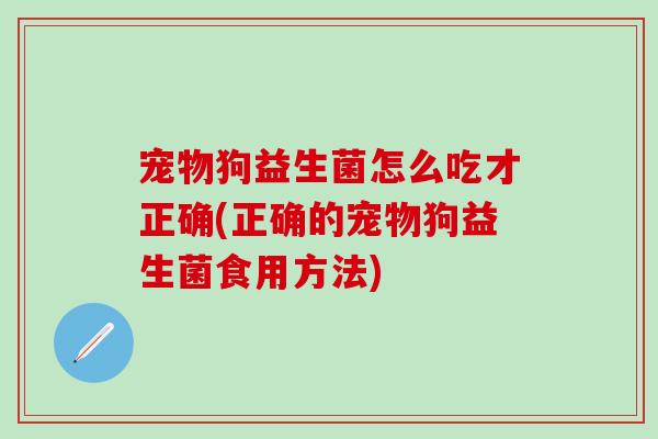 宠物狗益生菌怎么吃才正确(正确的宠物狗益生菌食用方法)