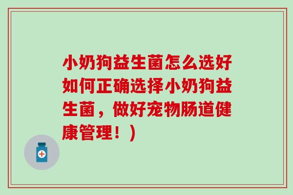 小奶狗益生菌怎么选好如何正确选择小奶狗益生菌，做好宠物肠道健康管理！)