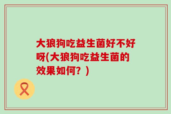 大狼狗吃益生菌好不好呀(大狼狗吃益生菌的效果如何?) 大狼狗吃益生菌好不好呀(大狼狗吃益生菌的效果如何?)
