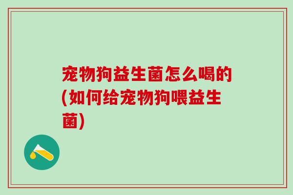 宠物狗益生菌怎么喝的(如何给宠物狗喂益生菌)