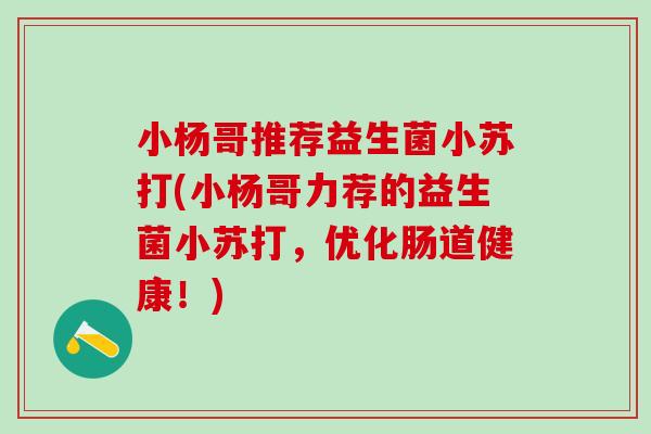 小杨哥推荐益生菌小苏打(小杨哥力荐的益生菌小苏打，优化肠道健康！)