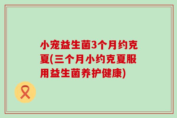 小宠益生菌3个月约克夏(三个月小约克夏服用益生菌养护健康)