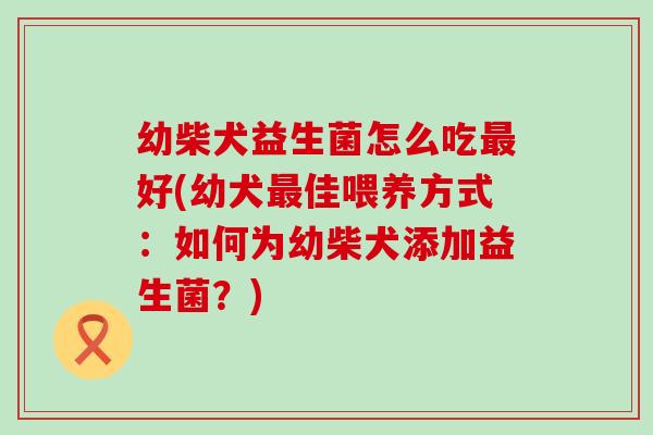 幼柴犬益生菌怎么吃最好(幼犬最佳喂养方式：如何为幼柴犬添加益生菌？)
