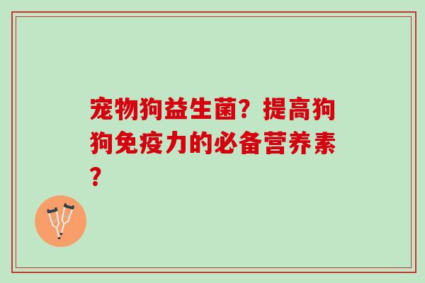 宠物狗益生菌？提高狗狗免疫力的必备营养素？