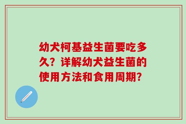 幼犬柯基益生菌要吃多久？详解幼犬益生菌的使用方法和食用周期？