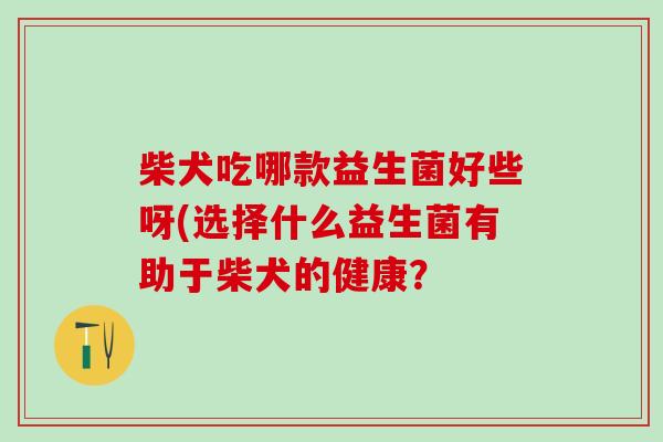 柴犬吃哪款益生菌好些呀(选择什么益生菌有助于柴犬的健康? 柴犬吃哪款益生菌好些呀(选择什么益生菌有助于柴犬的健康?
