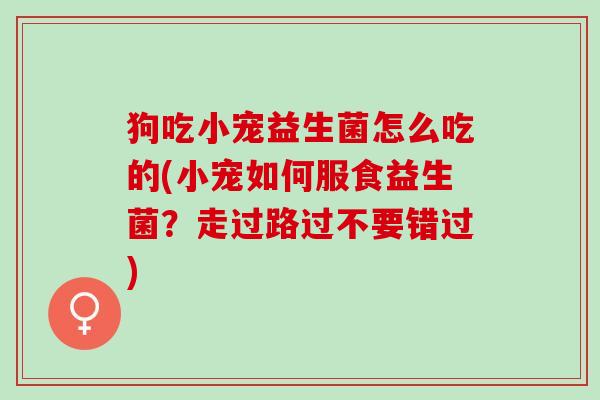 狗吃小宠益生菌怎么吃的(小宠如何服食益生菌？走过路过不要错过)