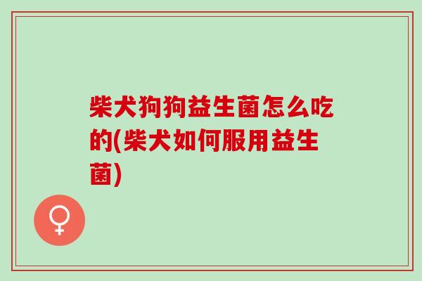 柴犬狗狗益生菌怎么吃的(柴犬如何服用益生菌) 柴犬狗狗益生菌怎么吃的(柴犬如何服用益生菌)