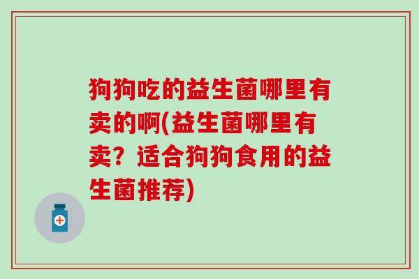 狗狗吃的益生菌哪里有卖的啊(益生菌哪里有卖？适合狗狗食用的益生菌推荐)