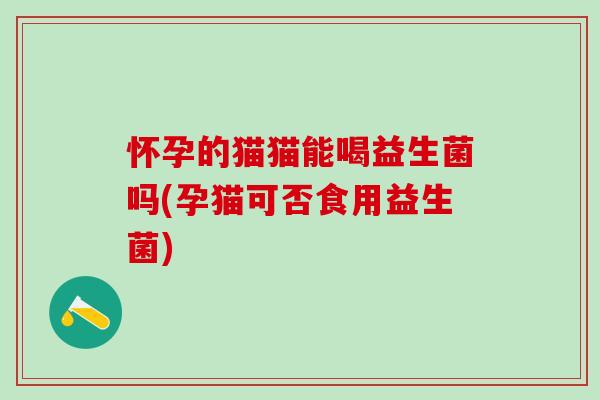 怀孕的猫猫能喝益生菌吗(孕猫可否食用益生菌)