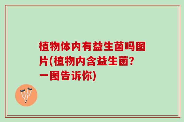 植物体内有益生菌吗图片(植物内含益生菌？一图告诉你)