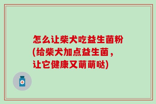 怎么让柴犬吃益生菌粉(给柴犬加点益生菌，让它健康又萌萌哒)